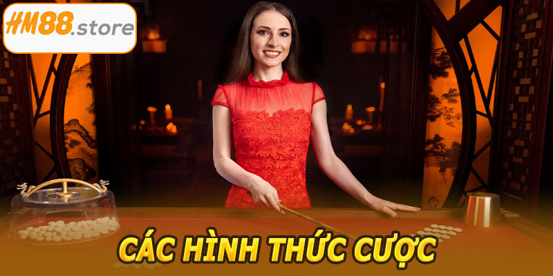 Các hình thức cược Tài Xỉu Fan Tan HM88